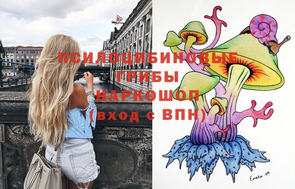Альфа ПВП Алексин