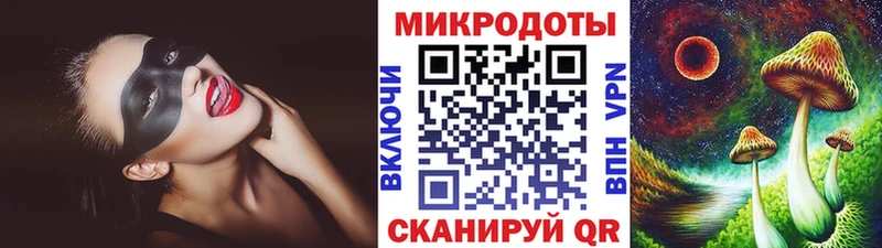 OMG ссылки  Новозыбков  Псилоцибиновые грибы Psilocybine cubensis  продажа наркотиков 