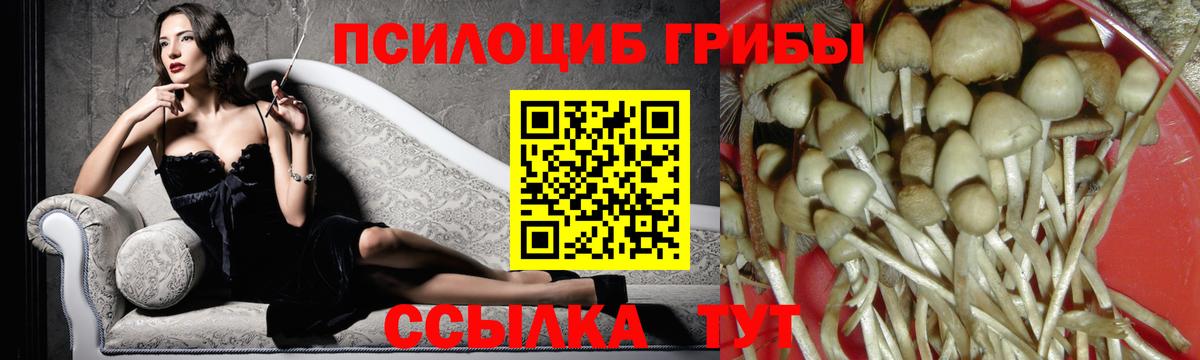 Псилоцибиновые грибы MAGIC MUSHROOMS Новозыбков