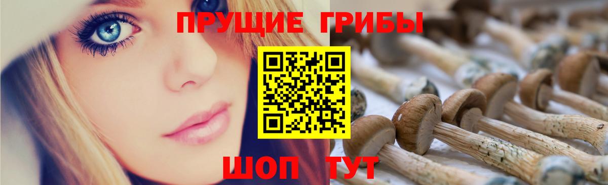 Новозыбков  Псилоцибиновые грибы ЛСД  Псилоцибиновые грибы Psilocybine cubensis  Вход с VPN 