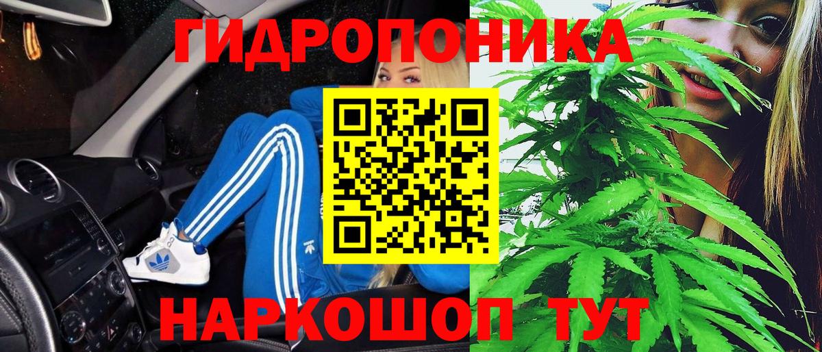 Каннабис Amnesia  Вход с VPN  Бошки марихуана White Widow  Каннабис Ganja  Новозыбков 